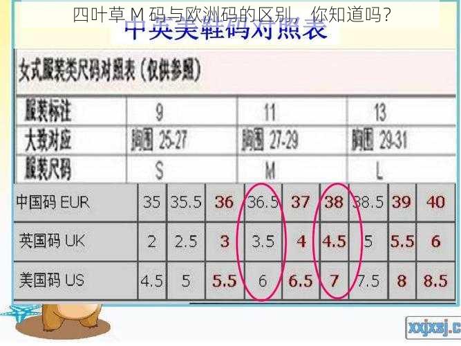 四叶草 M 码与欧洲码的区别，你知道吗？