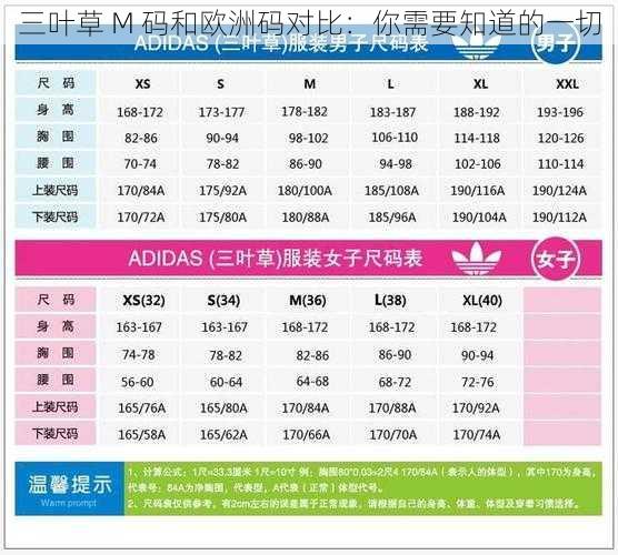 三叶草 M 码和欧洲码对比：你需要知道的一切